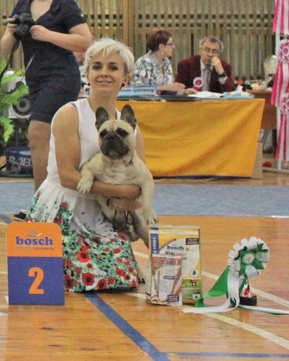 Второе место в ринге на выставке